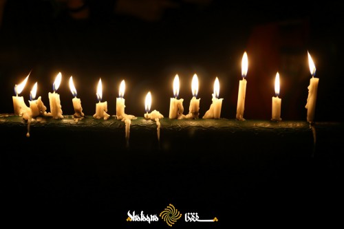 shameghariban-28