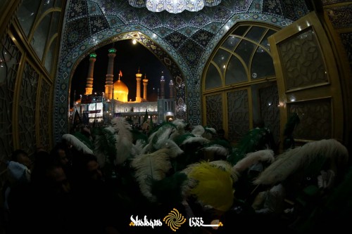 shameghariban-35