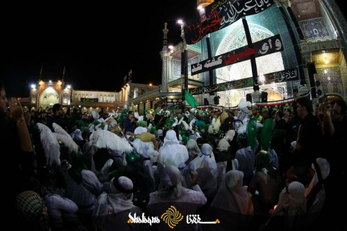 shameghariban-37