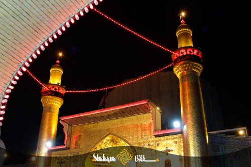 arbaeen-imam-ali-13