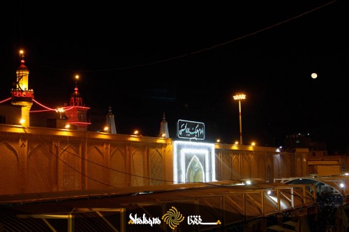 arbaeen-imam-ali-22