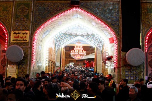arbaeen-imam-ali-5